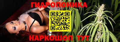 Альфа ПВП Ноябрьск