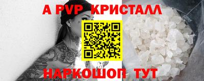Альфа ПВП Ноябрьск